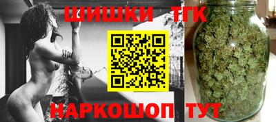 стаф Камышлов