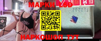 стаф Камышлов