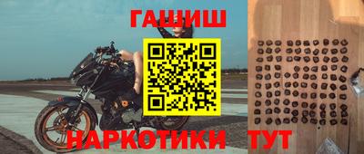 стаф Камышлов